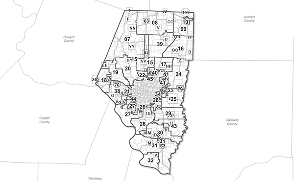 Thumbnail of the Precinct Map Viewer.