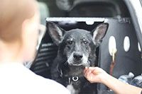 2024 GEM Camp Event Photo - GEM-126