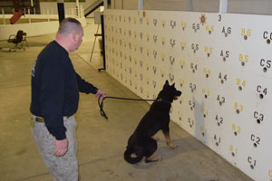 k-9 training to detect scents and alert on a scent wall